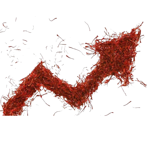 A detailed scientific study and quality analysis of pure saffron strands - Roobias Journal